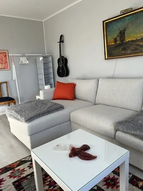 Newly built one-room apartment with loft and bathroom - Image 1