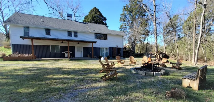 The Forest House - Image 1