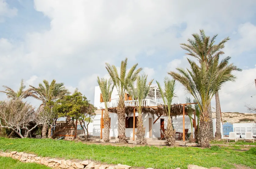 Palmhouses - Image 1