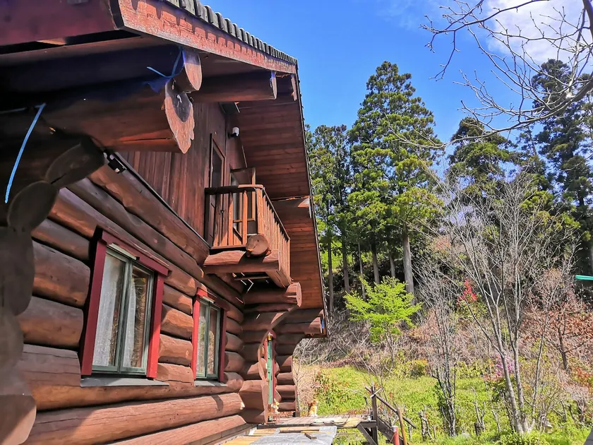 Enjoy nature at an authentic Canadian log house (dream log cabin) that blends in with nature! - Image 1