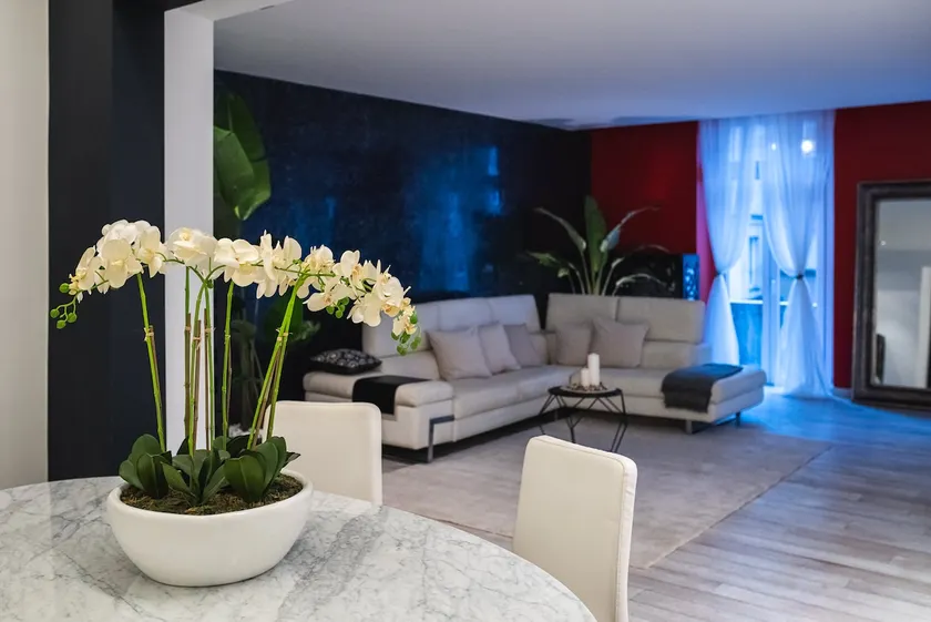 Luxury apartment with spa right in the center - Image 1