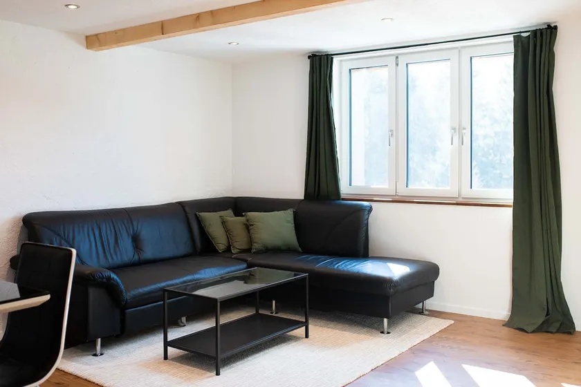 Modern apartment in Säntisecho - Image 1