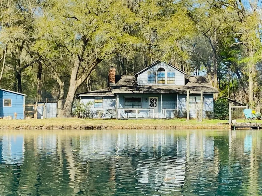 The Blue House - Image 1