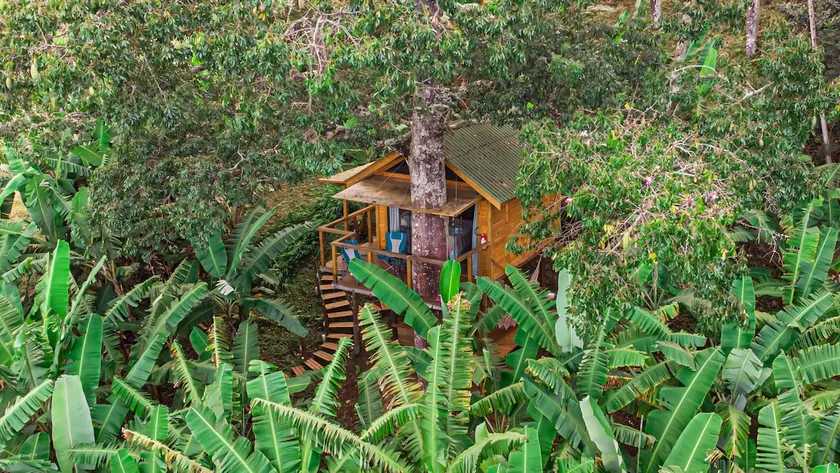 Treehouse/Emboava Refuge - Image 1