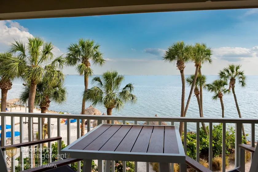 Rays by the Bay- Sunlit Mornings, Peaceful Evening - Image 1
