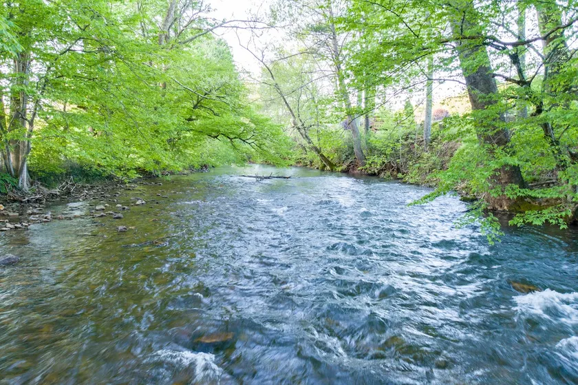 The Holston River House - a Sojourn in Serenity - Image 1