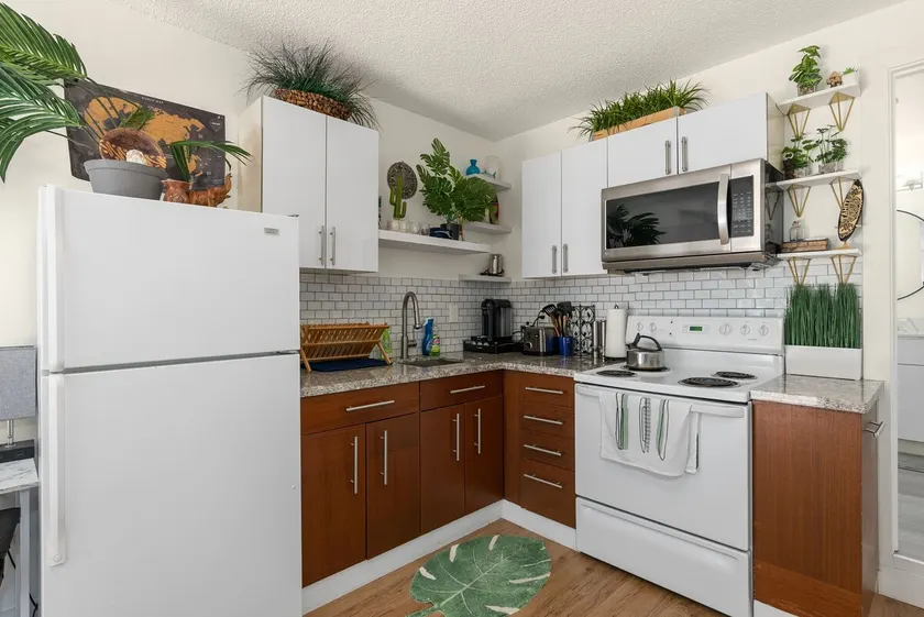 Jungle Oasis Retreat - Image 1