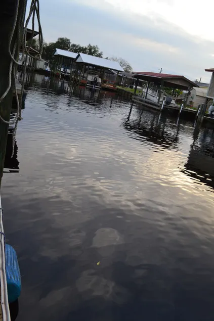  Canal  access to the St. Johns River. Private boat dock. Parking for  trailer - Image 1