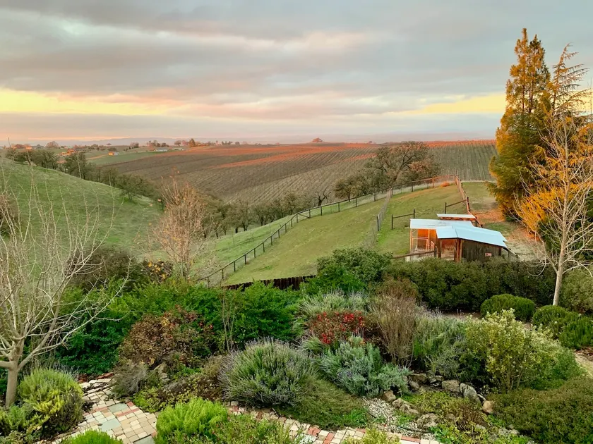 Wine Country Escape- Hot Tub, Vineyard Views & EV - Image 1