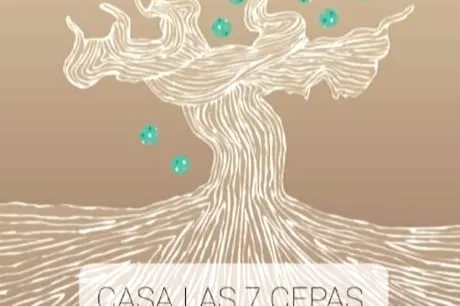 CASA LAS 7 CEPAS. Modern and cozy. Hydromassage - Image 1