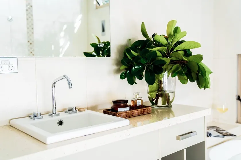 Breathe On Moreton will take your breath away - Image 1
