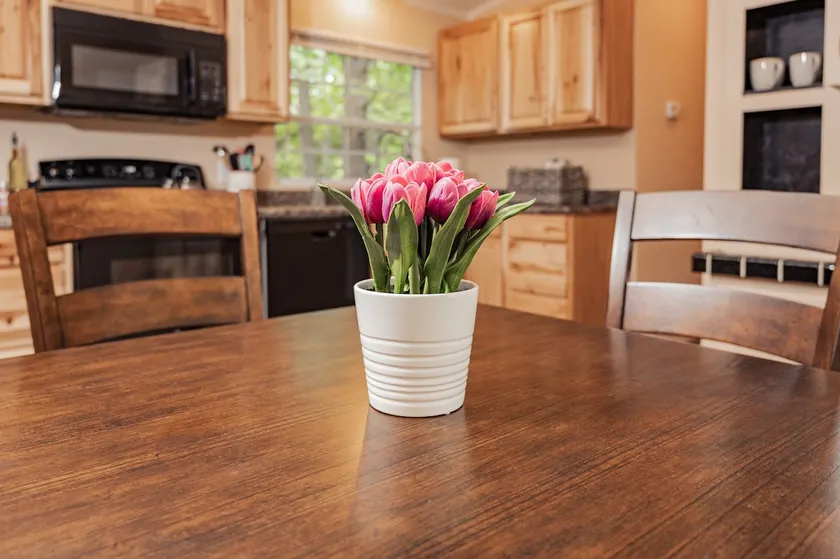 Pet Friendly~3 Beds/2Ba All-ParkPass ~Private Yard - Image 1