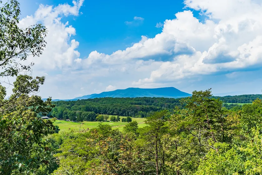 Riverfront Oasis with Mountain Views, close to town  - Image 1