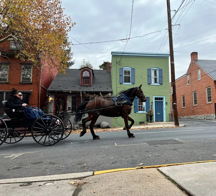 Wilkum Home, a PA Dutch inspired space w/ Parking - Image 1