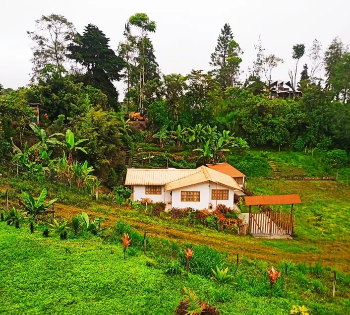 LODGE NATAN - Image 1