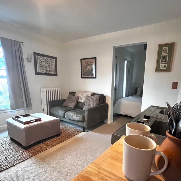Andes Suite - stylish, pets-ok, walk to downtown - Image 1