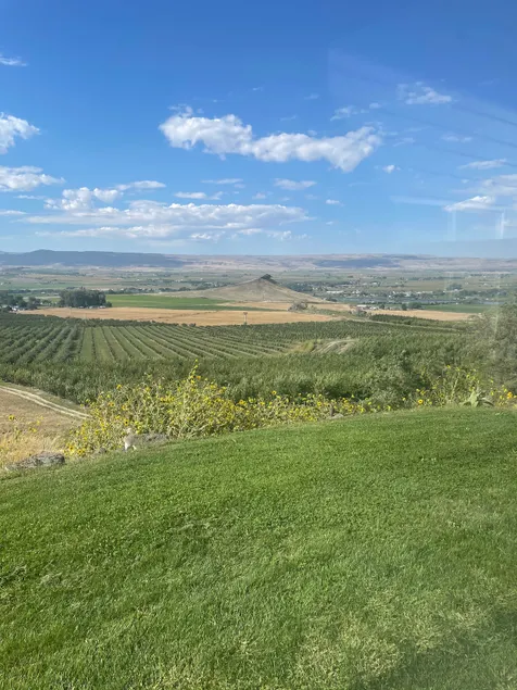 Sunny Slope Wine Country House - Image 1