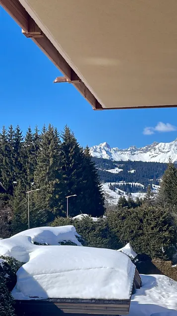 Standing Megeve - 2 to 8 people - Mont d'Arbois - Image 1