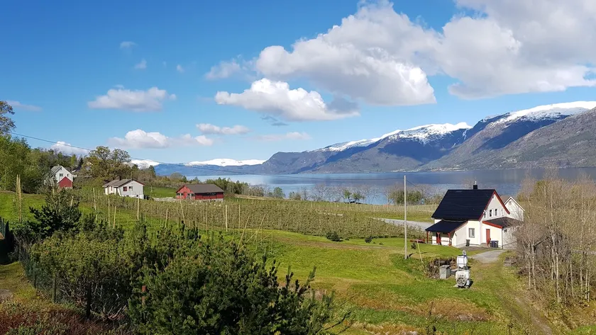 Great cabin, panoramic views of Hardangerfjorden - Image 1