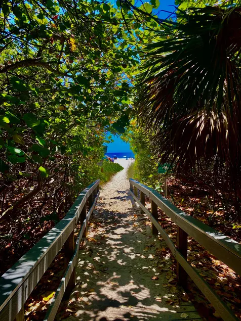 ”Seas The Day @ AloeVero” - 1.5 Miles 2 the Beach - Image 1