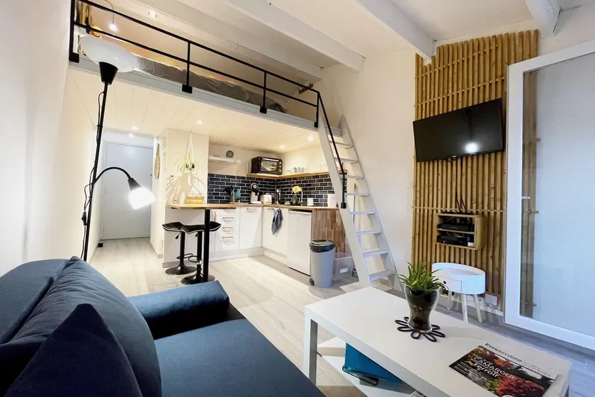Beautiful AZUR studio, new, balcony, bikes, Park - Image 1