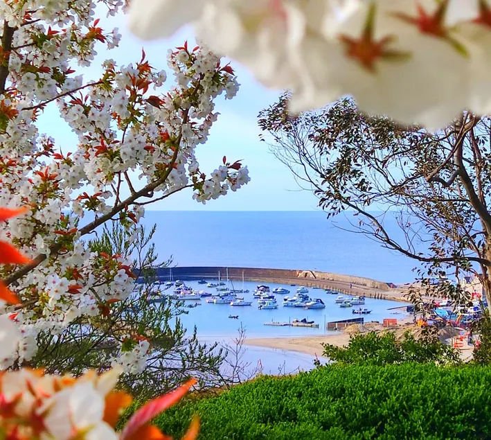 Seabreeze with parking, sea and country views - Image 1