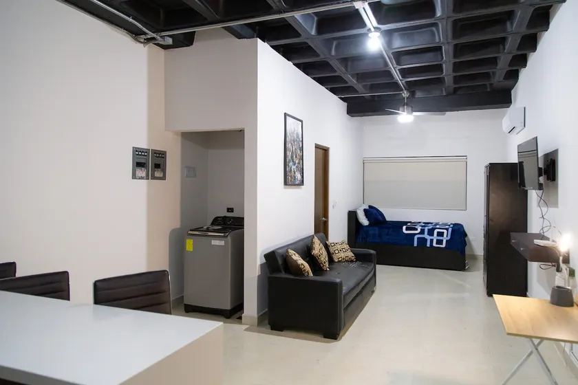 Loft Nuevo Centro Guadalupe, billing. - Image 1