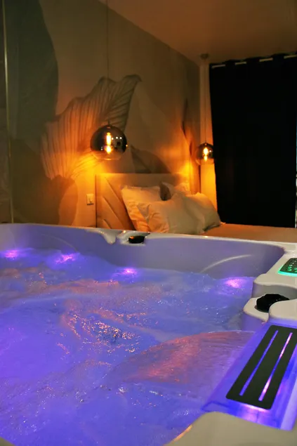 Luxury and spa getaway in the center of Roanne - Image 1