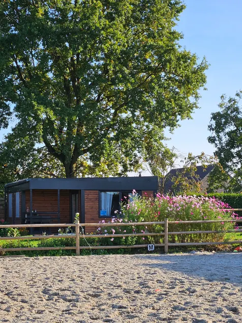 Wooden cottage among horses - Image 1