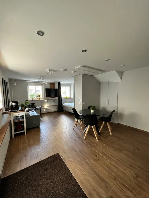 Erlen apartment with kitchen & free parking - Image 1