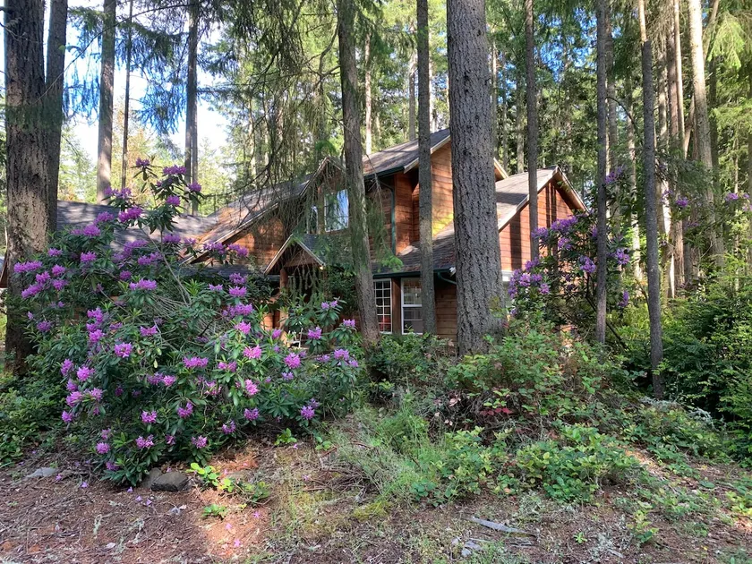 Near lake, with fire pit, and rope swing - Image 1