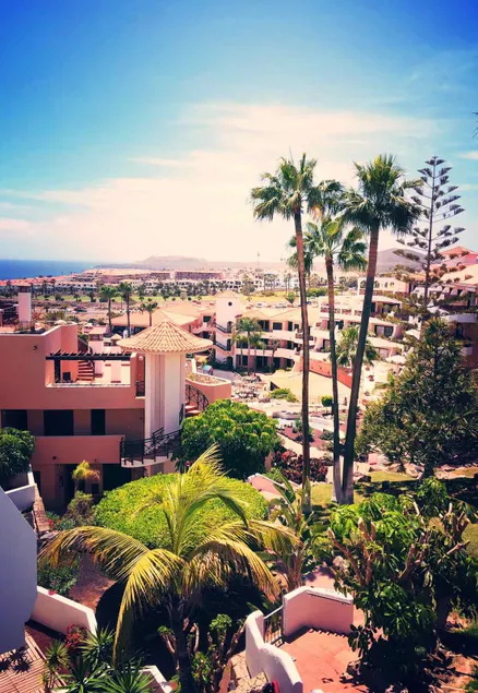 Ocean view & tropical garden resident - Image 1