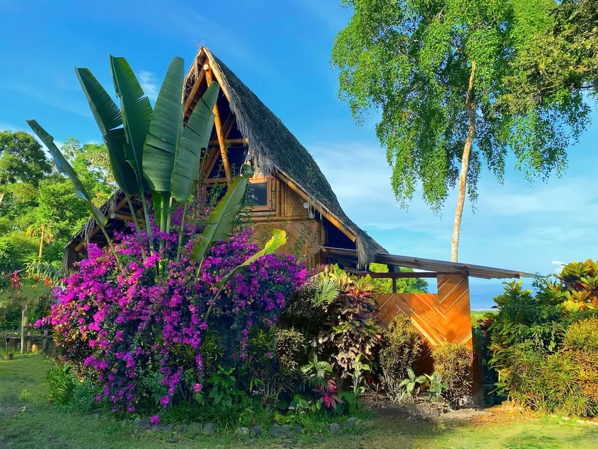 Cabin - amazing ocean and rainforest views - Image 1