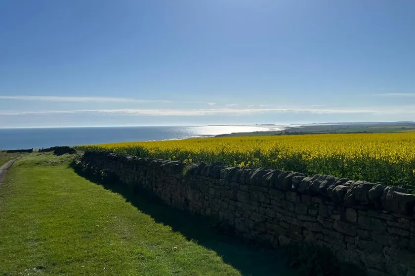 Escape To The Sea: Views For Miles, Luxury Inside - Image 1