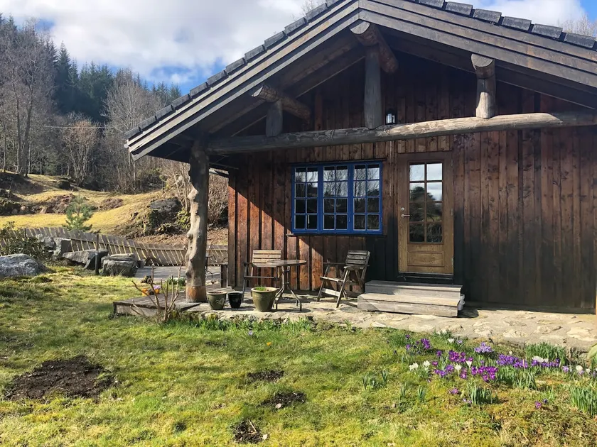 Cheerful, distinctive, indoor fireplace + guest cabin - Image 1
