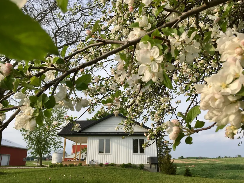 Auburn Countryside Getaway: 1-bedroom apartment - Image 1