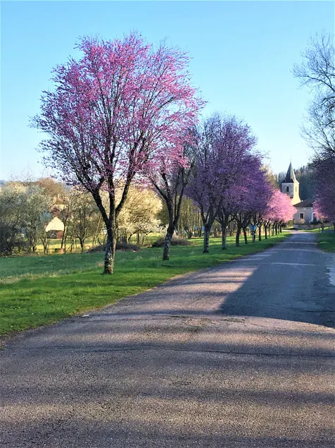 La MUSARDIERE Gîte paisible à la campagne - Image 1