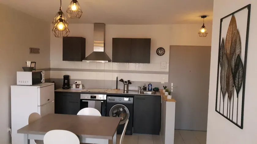 Appt 2/4 pers, 10 mins from airport, 17 mins from Lyon - Image 1