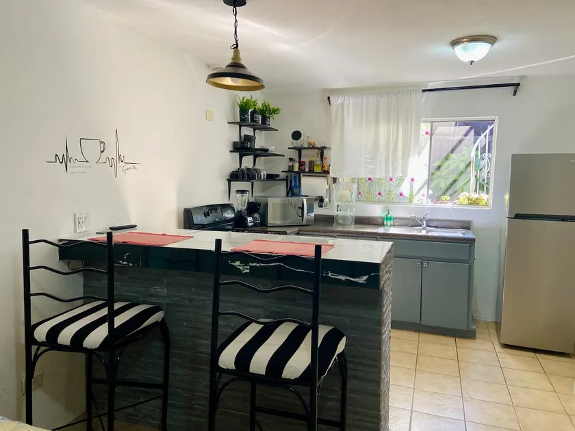 Zebra Studio - 1 double-bed, kitchen - Image 1