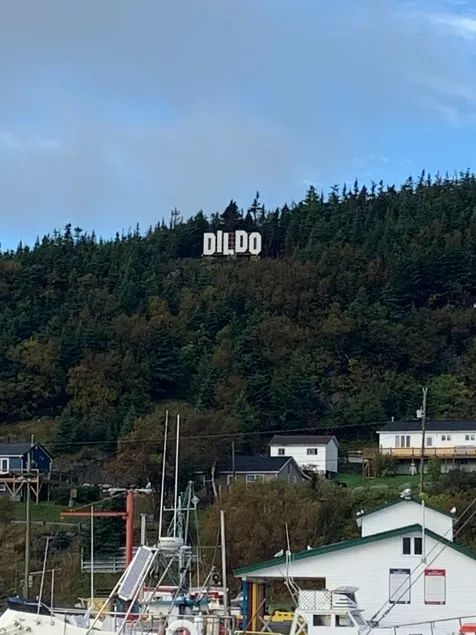 Kimmel Cottage Dildo - Image 1