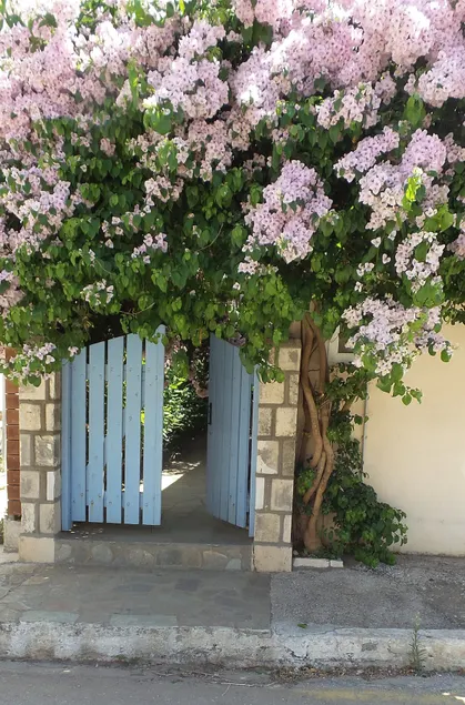 Beautiful summer house in Agia Efimia - Image 1