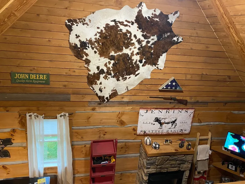 Cozy Cabin Near Blue Ridge Parkway - Image 1