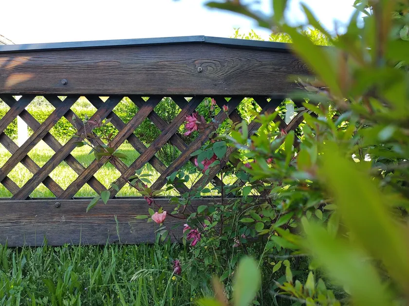 Cottage \"Le None\" lovely and cozy villa with garden and patio in FVG  - Image 1