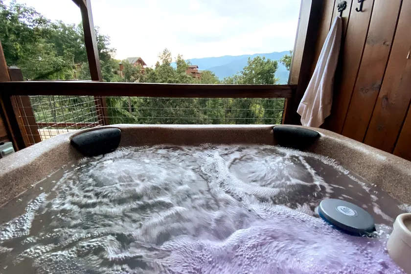 Views+Hot Tub+TreeTops+Bears+W/D+Easy Parking - Image 1