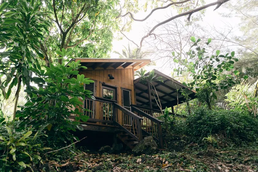 Jungle Haven at ReKindle Farm - Image 1