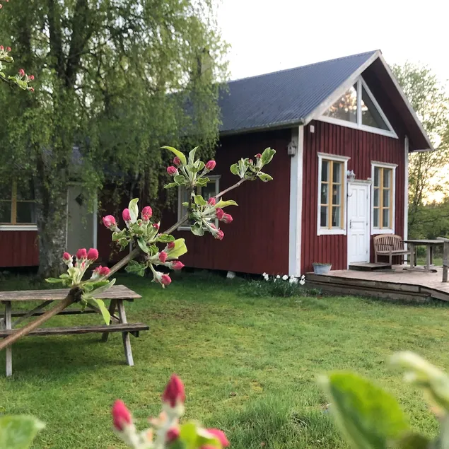 Studio close to nature with fireplace - Image 1
