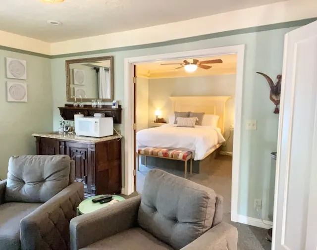 #7 Jacuzzi tub|Balcony| Historic Downtown suite - Image 1