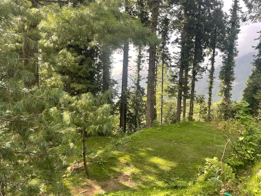 Larkspurs, Dunga Gali -Furnished Studio Apartment - Image 1