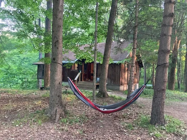 Secluded Cozy Cedar Wood Cabin in 20 acres of native woods, on the Paw Paw river - Image 1