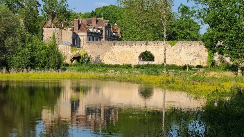 L'Orée du Bois du Parc & Château de Manou - Image 1